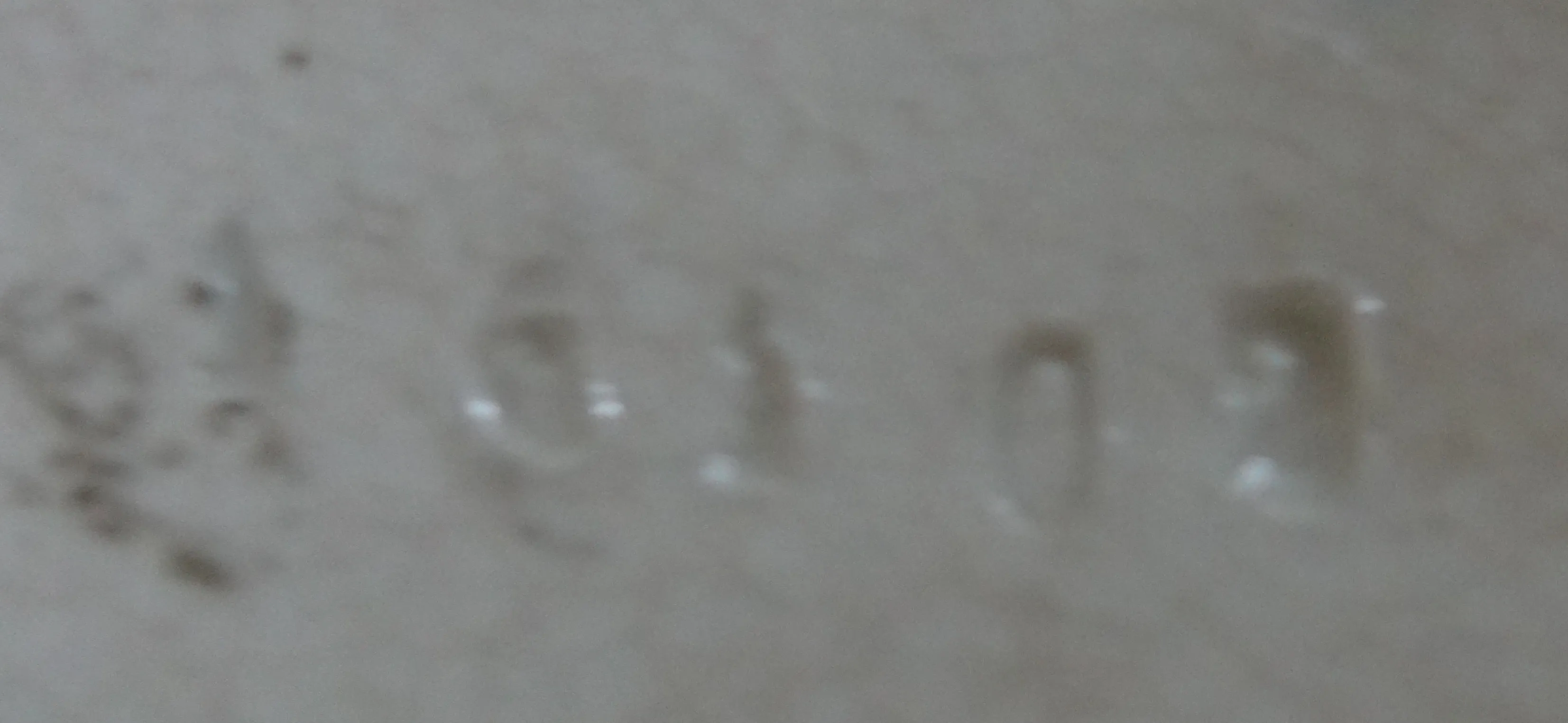 Antiquariato con numero di serie 10803, dettaglio visibile nell'immagine.