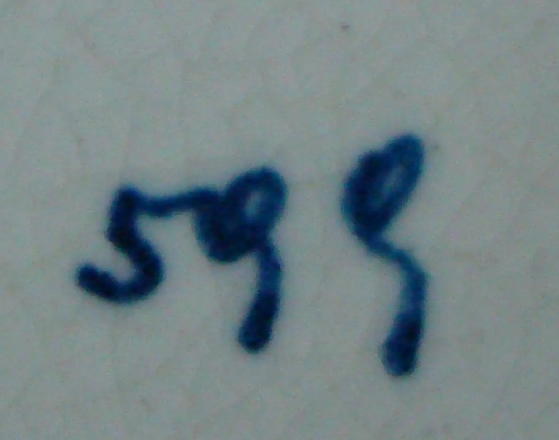 dettagli di un numero di serie 599 su uno sfondo chiaro