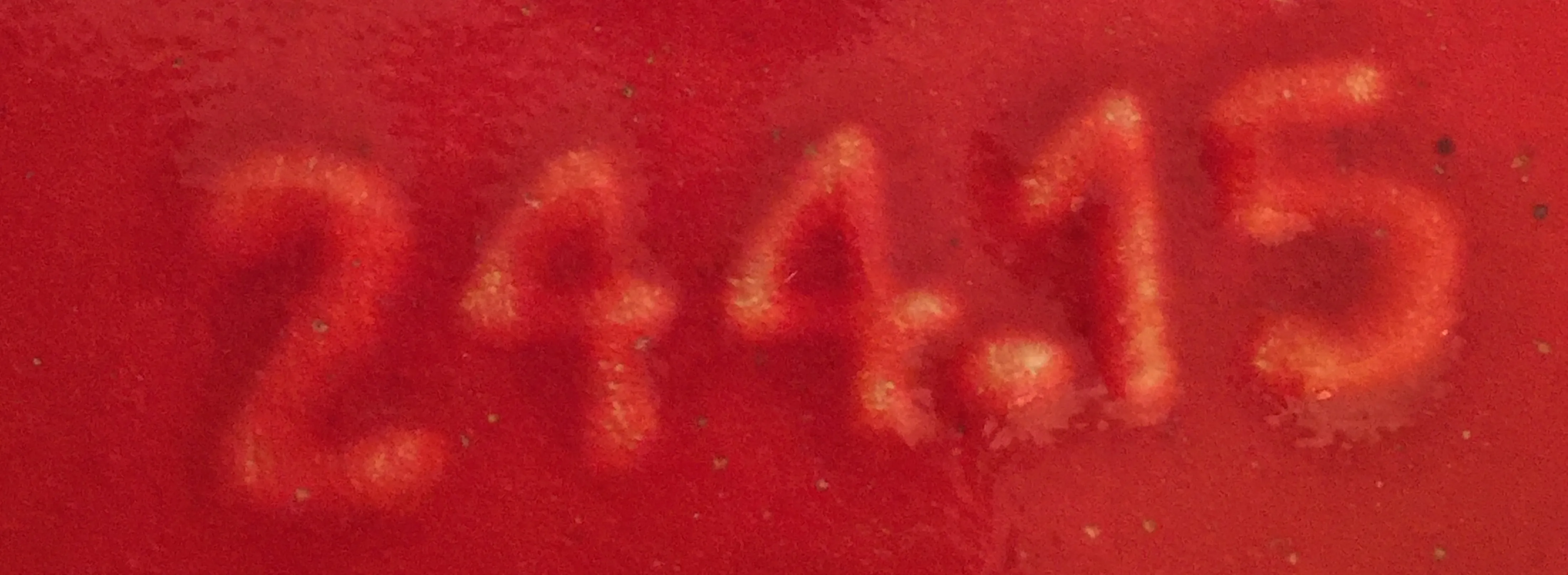serial number 244-15 on a textured red surface