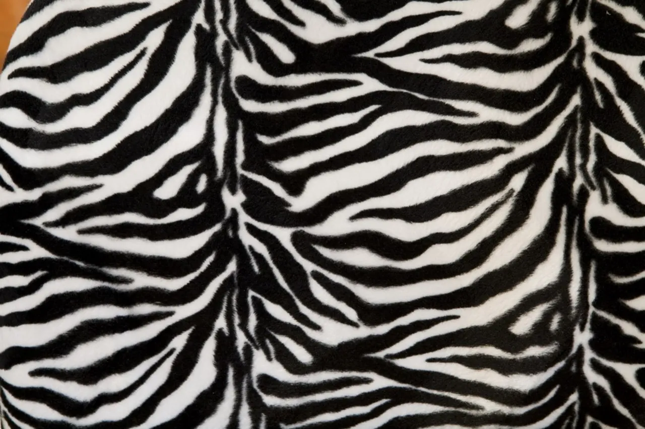 2 poltrone antiche decorative con stampa zebra