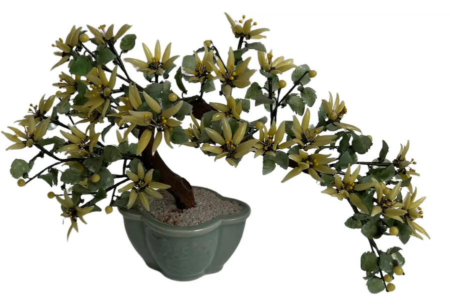 Antique bonsai with yellow flowers and green leaves in a pot.
