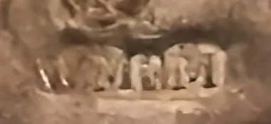 selo wmfs antigo com letras e detalhes nítidos