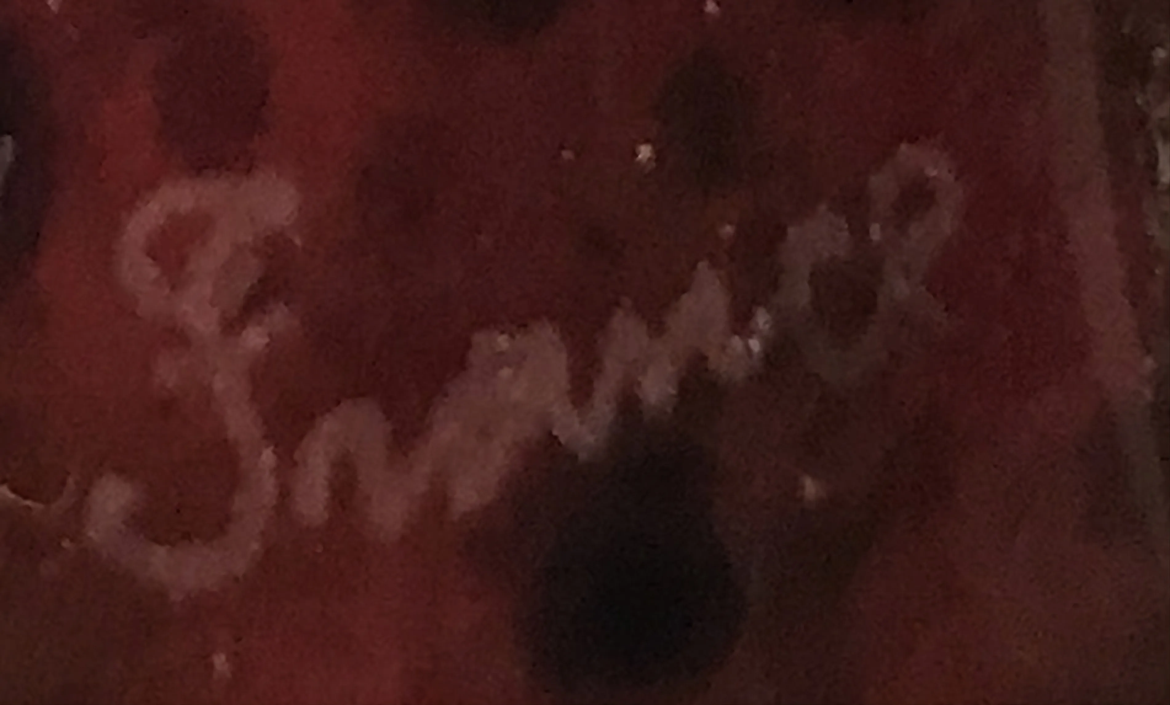 带有'France'字样的古董印章，收藏品。