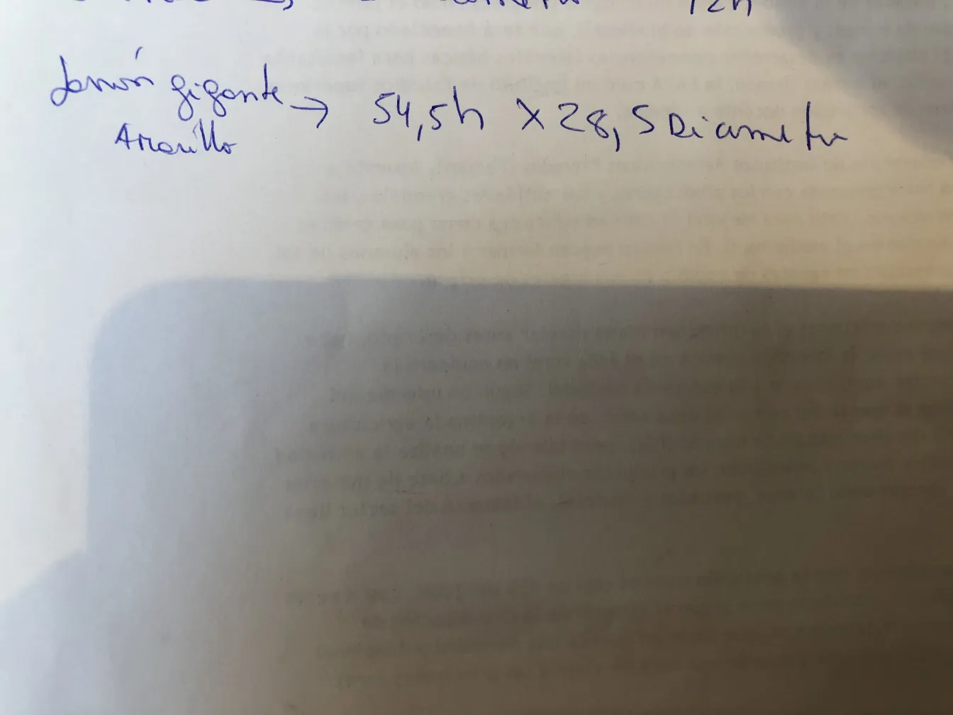 Antike große gelbe Keramik, einzigartiges Dekorationsstück.