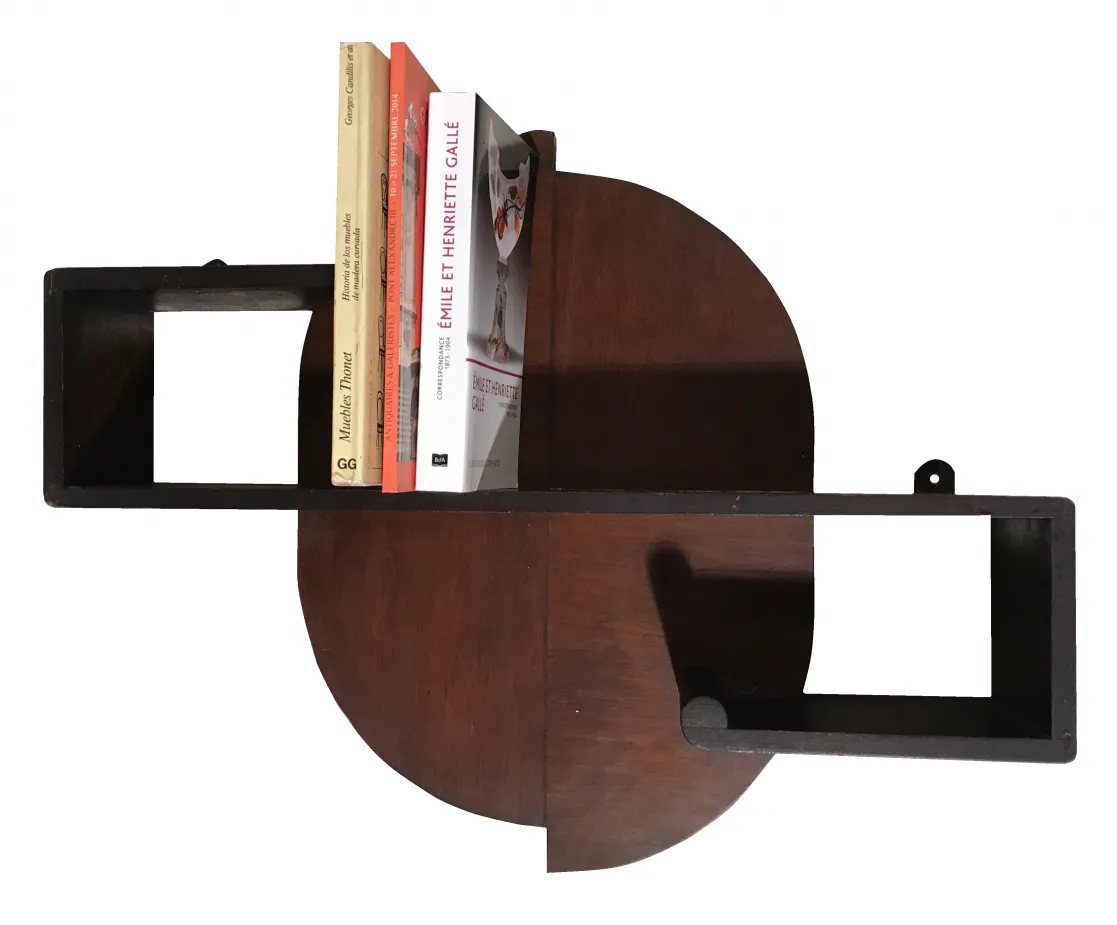 bibliothèque ancienne avec des livres de différentes couleurs et styles, éléments décoratifs