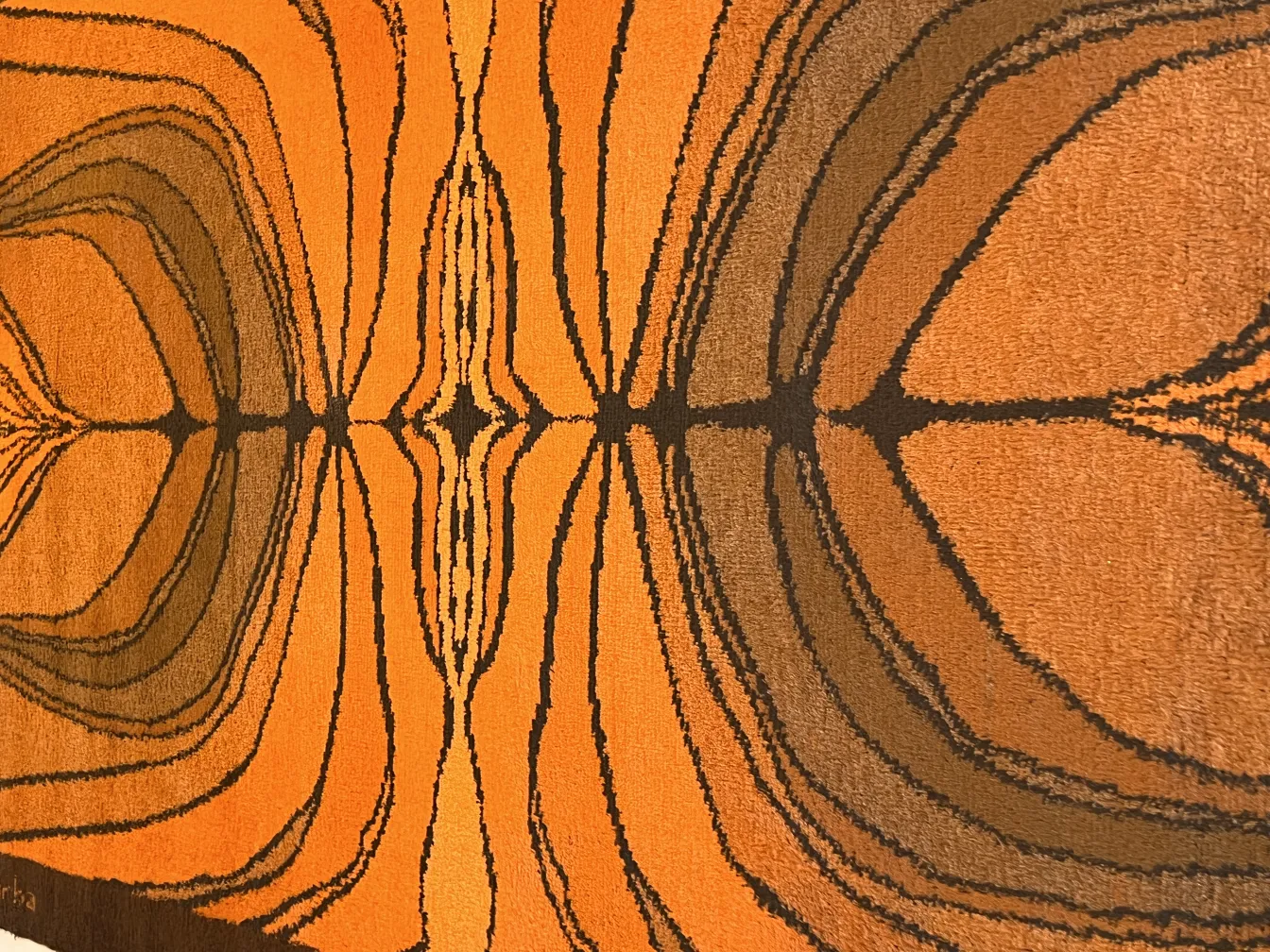 tapis ancien avec un motif géométrique dans des tons orange et marron, ajoutant de la chaleur à la pièce.