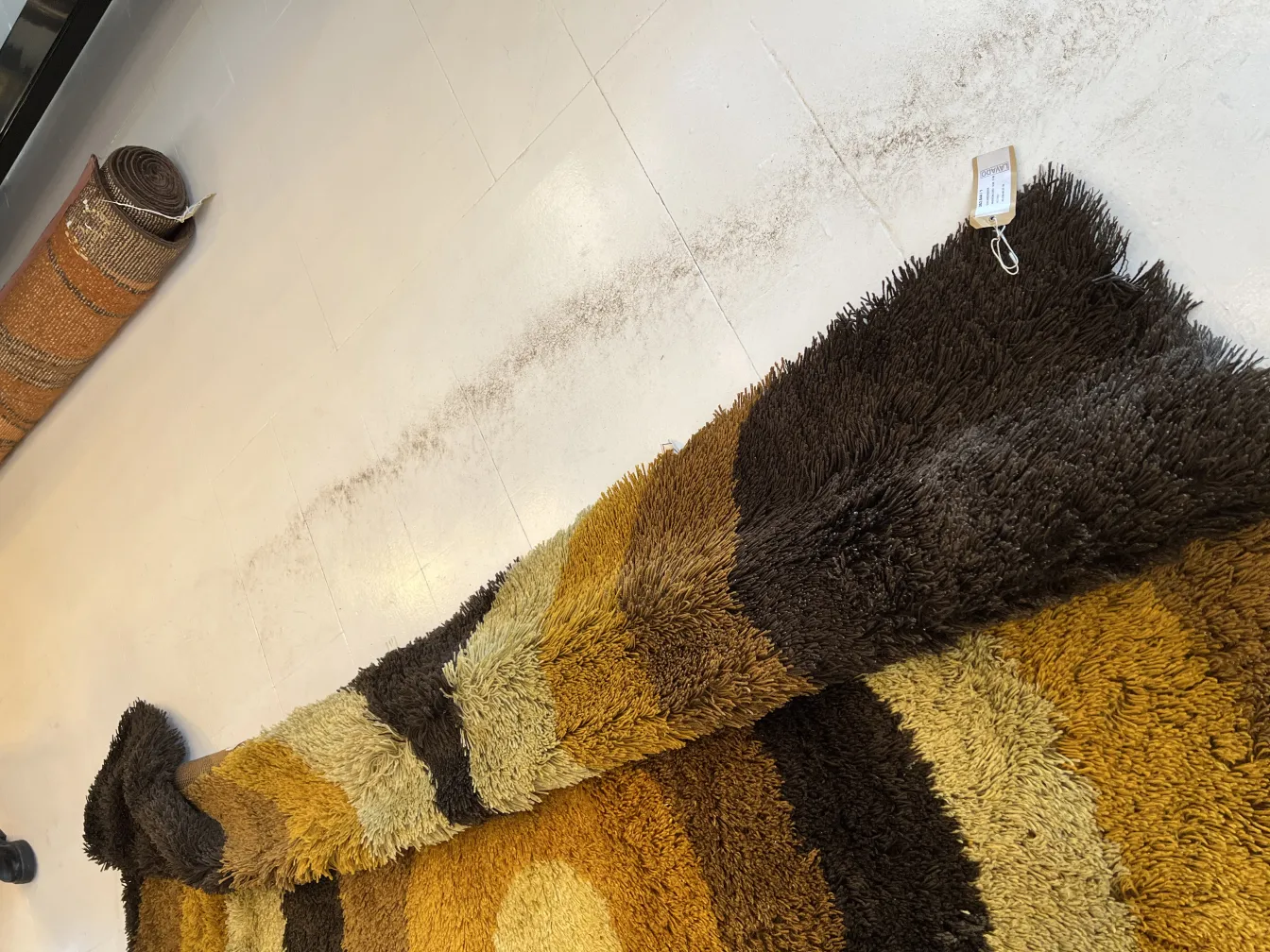 Antique carpet featuring earthy colors with wavy patterns, warm ambiance.