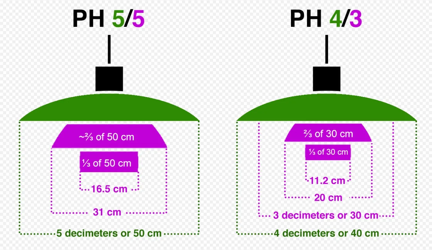 две античные подвесные лампы с характерным зеленым и черным дизайном, элегантная обстановка
