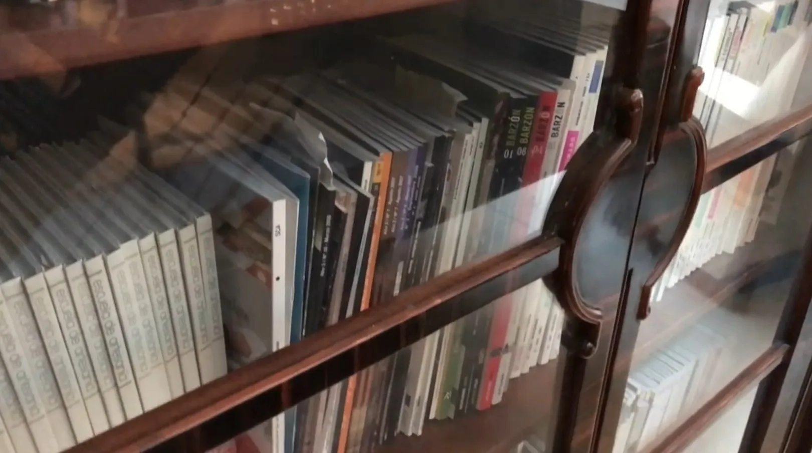 estante de livros antigo com livros organizados