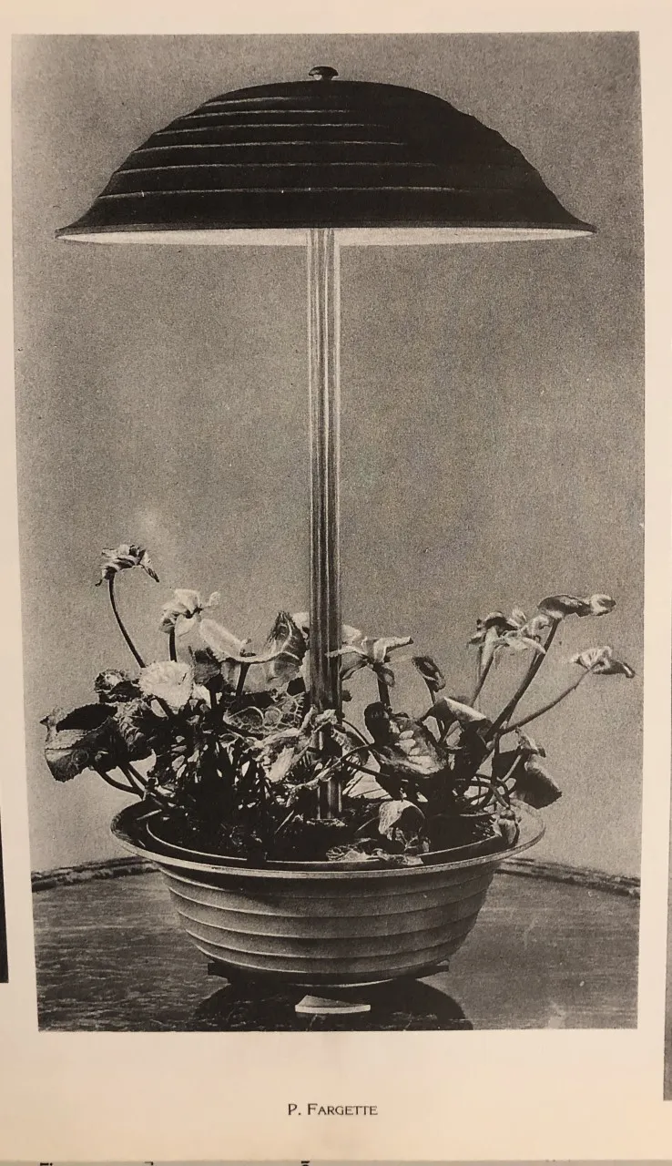 antique table lamp with modern design, plants in background