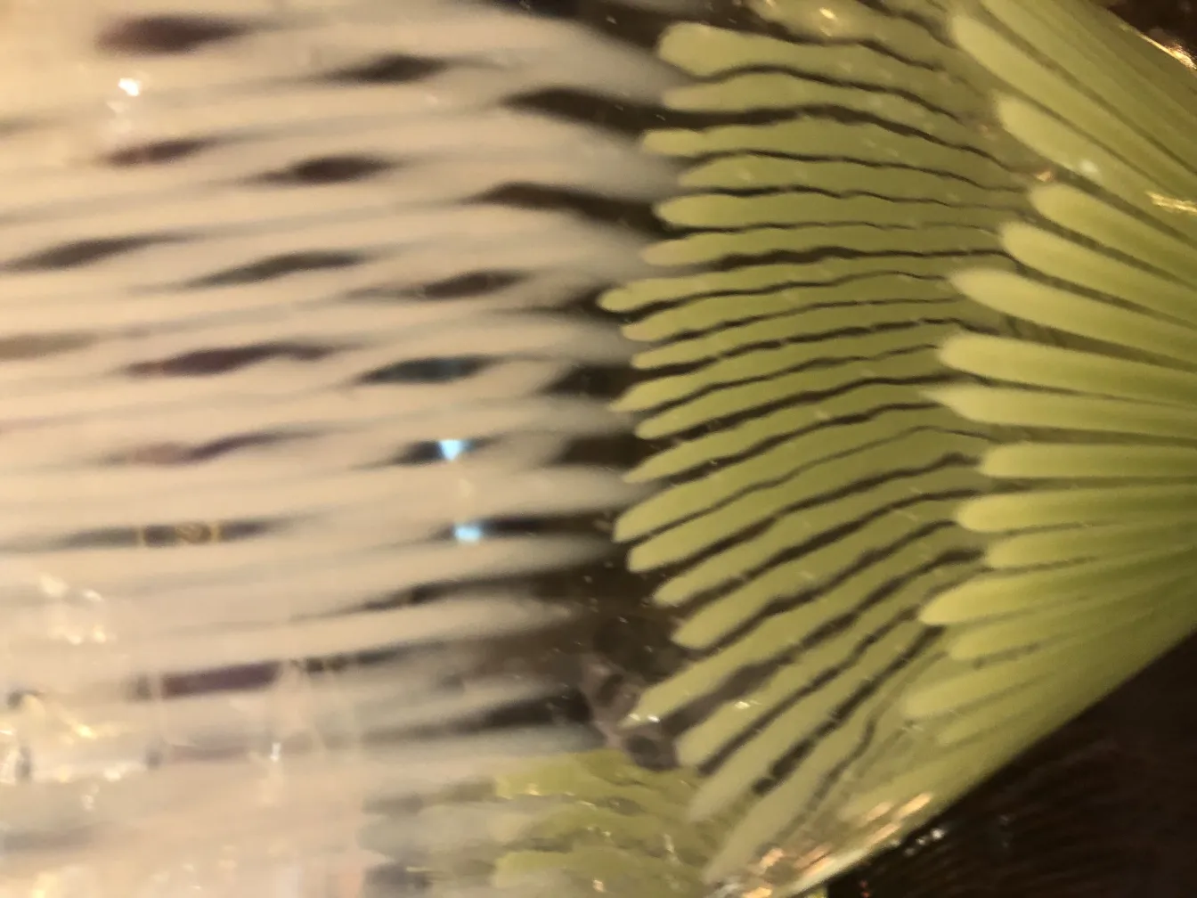 具有独特装饰设计的穆拉诺花瓶