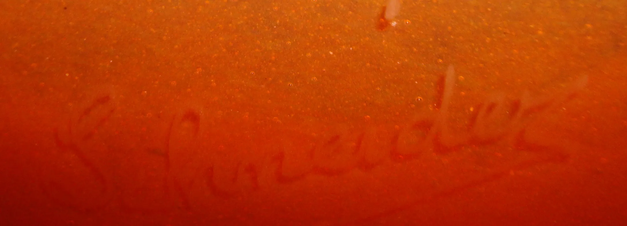 Vetro antico firmato Schneider con firma visibile.