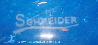 antique glass with Schneider signature in French style