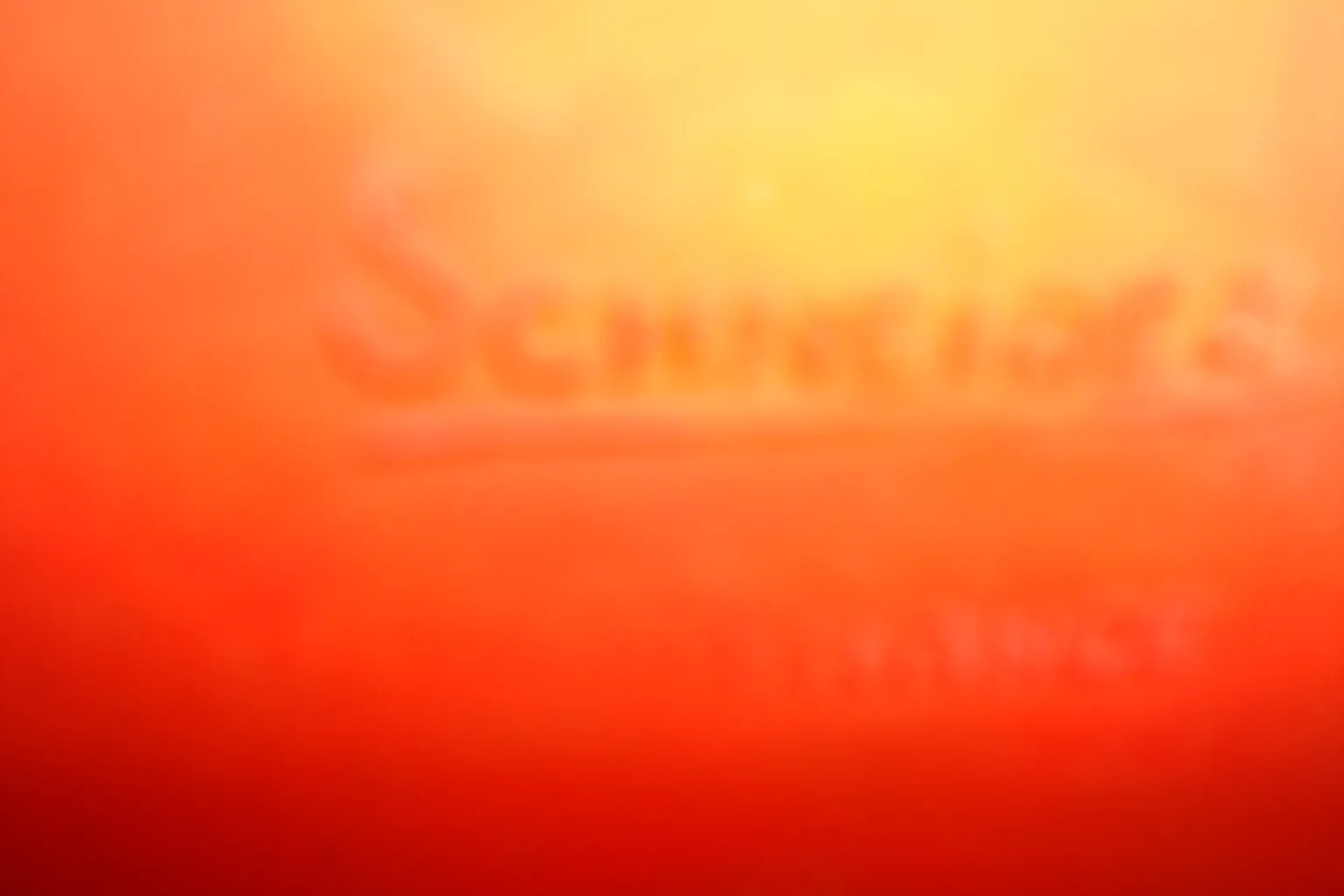 Vetro firmato con marchio Schneider su sfondo colorato