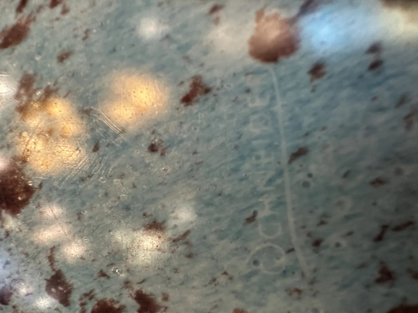 Antikes signiertes Glas von Schneider mit dekorativen Details