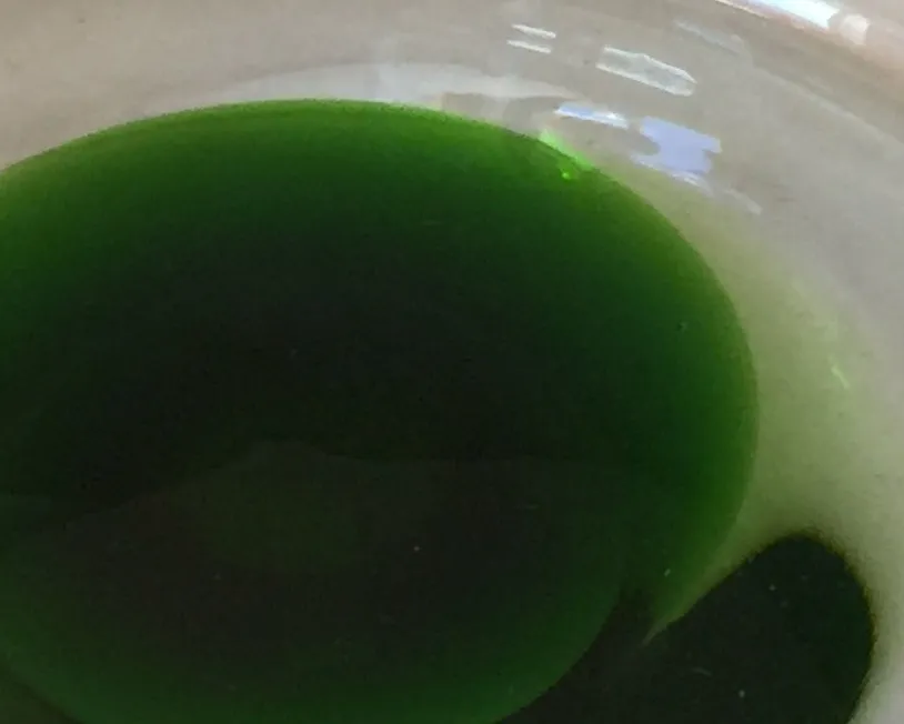 Detail eines alten murano-glases in grüner Farbe