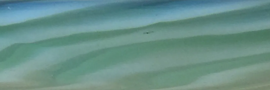 सुंदर मुरानो कांच, नरम रंग, नॉस्टैल्जिक वातावरण.