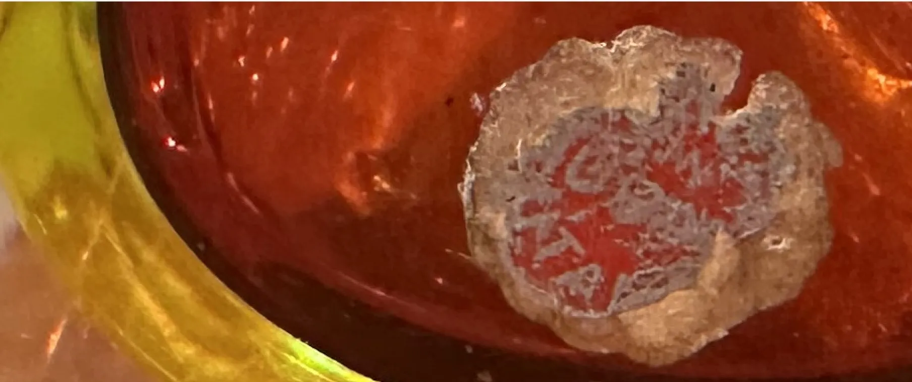 古董穆拉诺玻璃，色彩鲜艳，形状独特