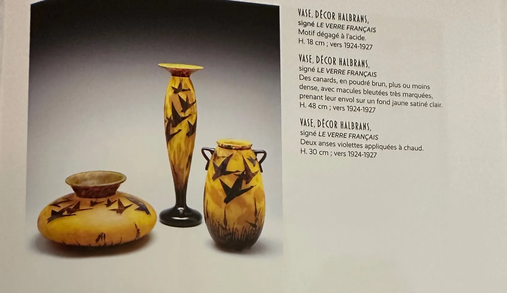 签名玻璃Le Verre，具有鸟类装饰的古董环境。