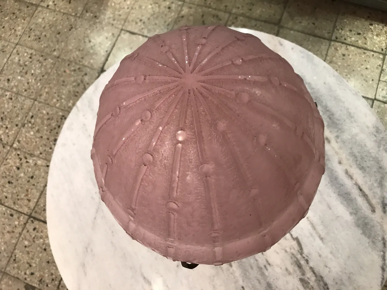 서명된 유리잔 다움 난시 우아한 색상과 독특한 디자인