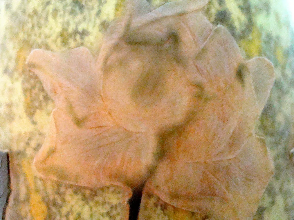 vidrio firmado daum nancy con diseño de flor y ambiente suave