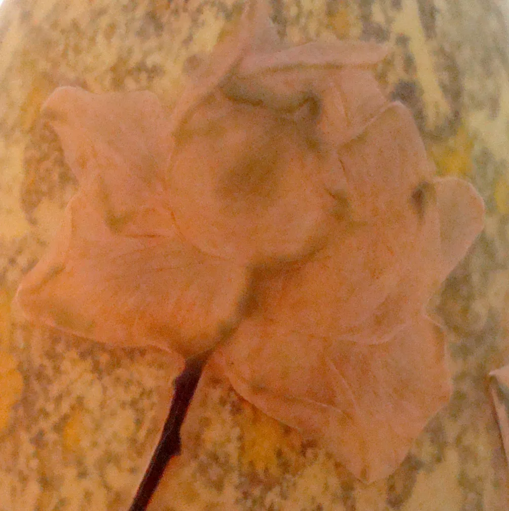 サイン入りグラスダウムナンシーに柔らかい色の花のデザイン。