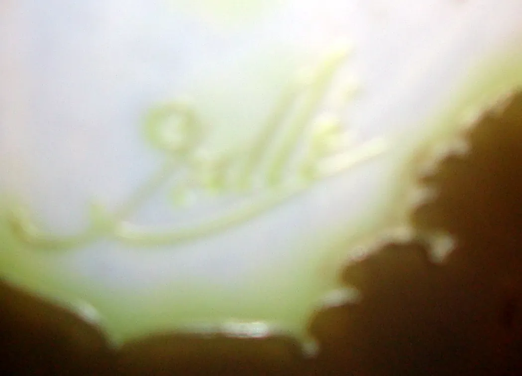 Signed glass Gallé featuring a distinctive design and visible signature