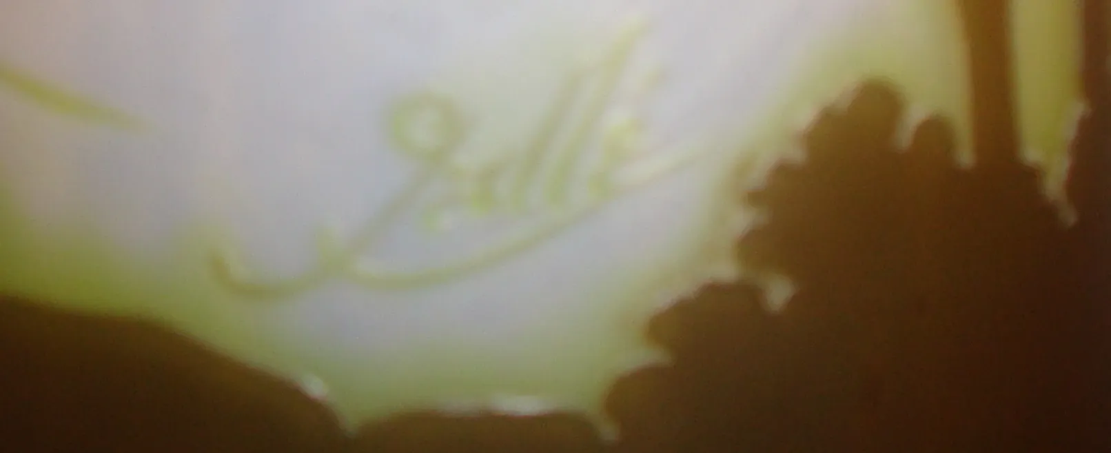 Antique signed glass by Gallé, featuring shadowy details.