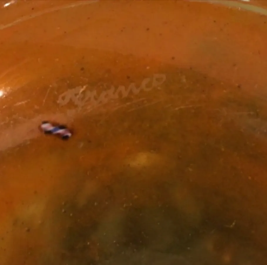 Verre avec inscription ancienne et design coloré sur une assiette