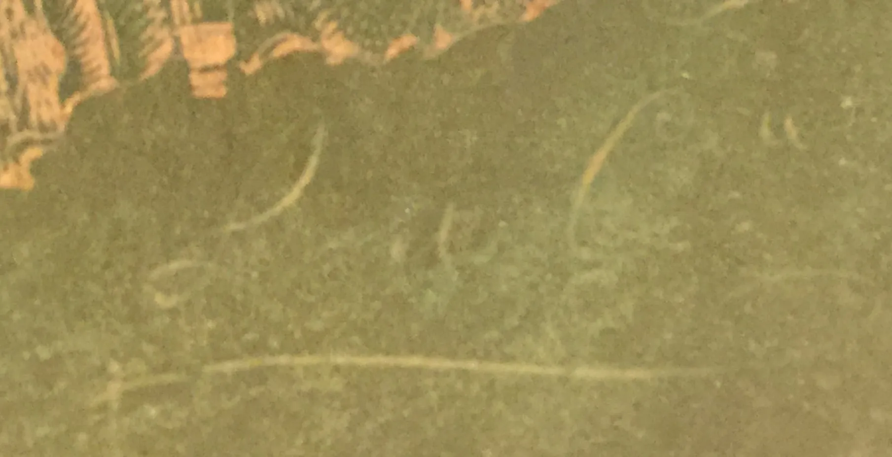 Vetro firmato LEGRAS con dettagli artistici all'interno