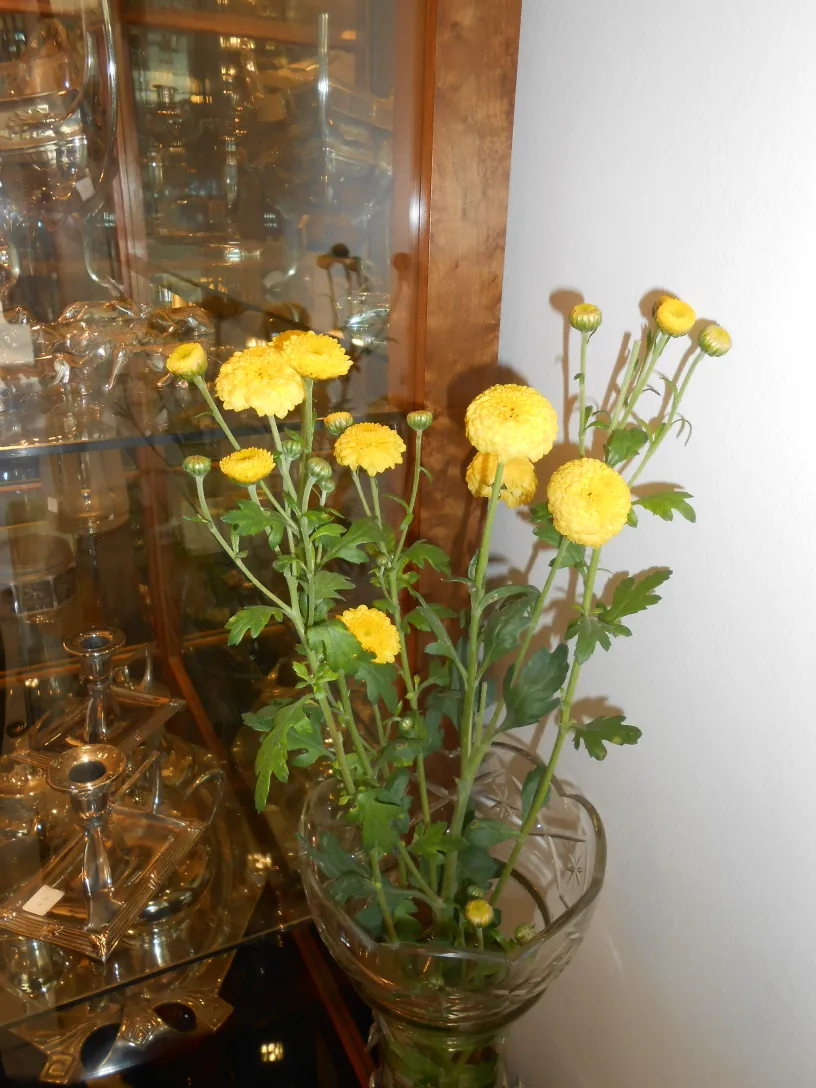 Deux vases antiques avec des fleurs jaunes, cadre élégant.