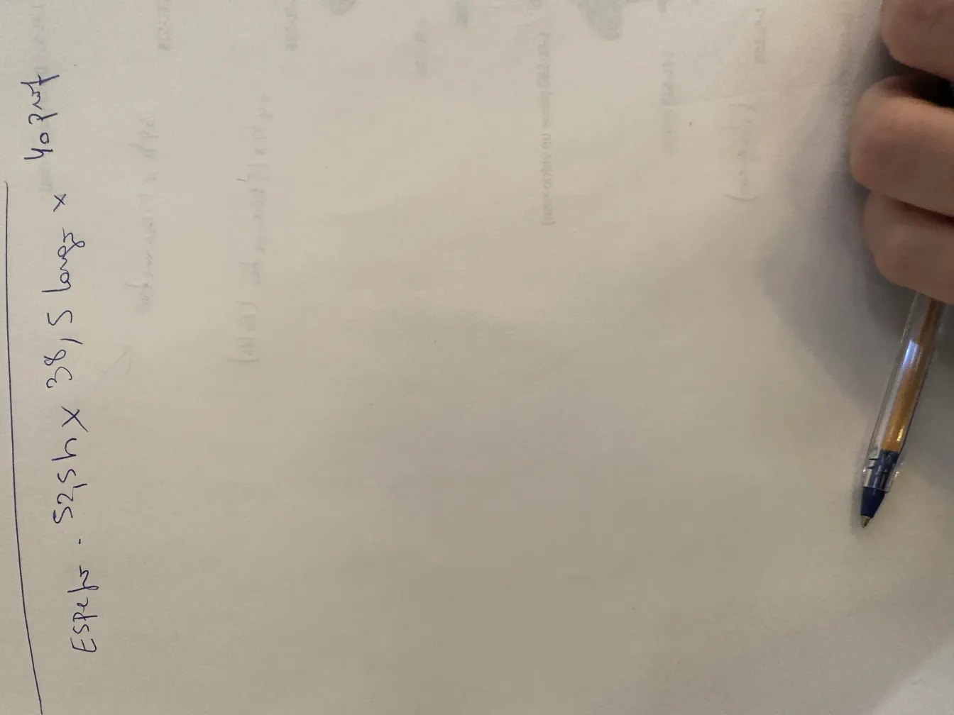 앤틱 거울, 주변의 아르누보 세부 사항