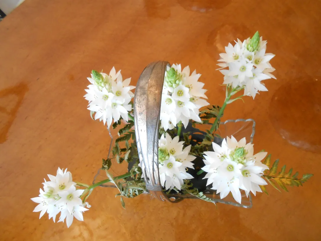 Antike WMF-Blumentöpfe mit weißen Blumen in einer warmen Umgebung.