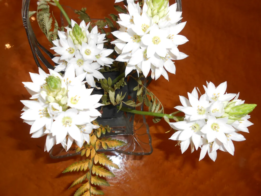 antique WMF centerpiece with white flowers in warm setting