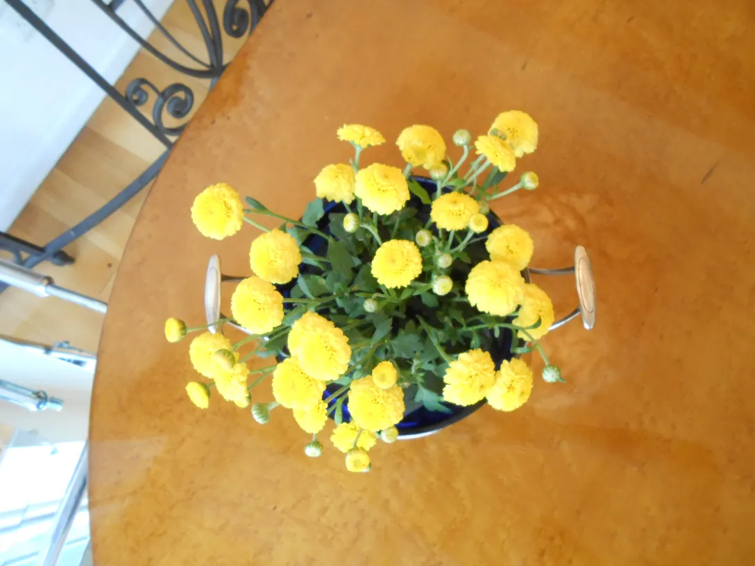 jardinera con flores amarillas sobre una mesa de madera, decoración antigua