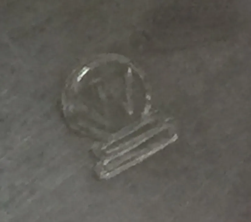 两个古董香槟碗wmf放在黑暗的背景上