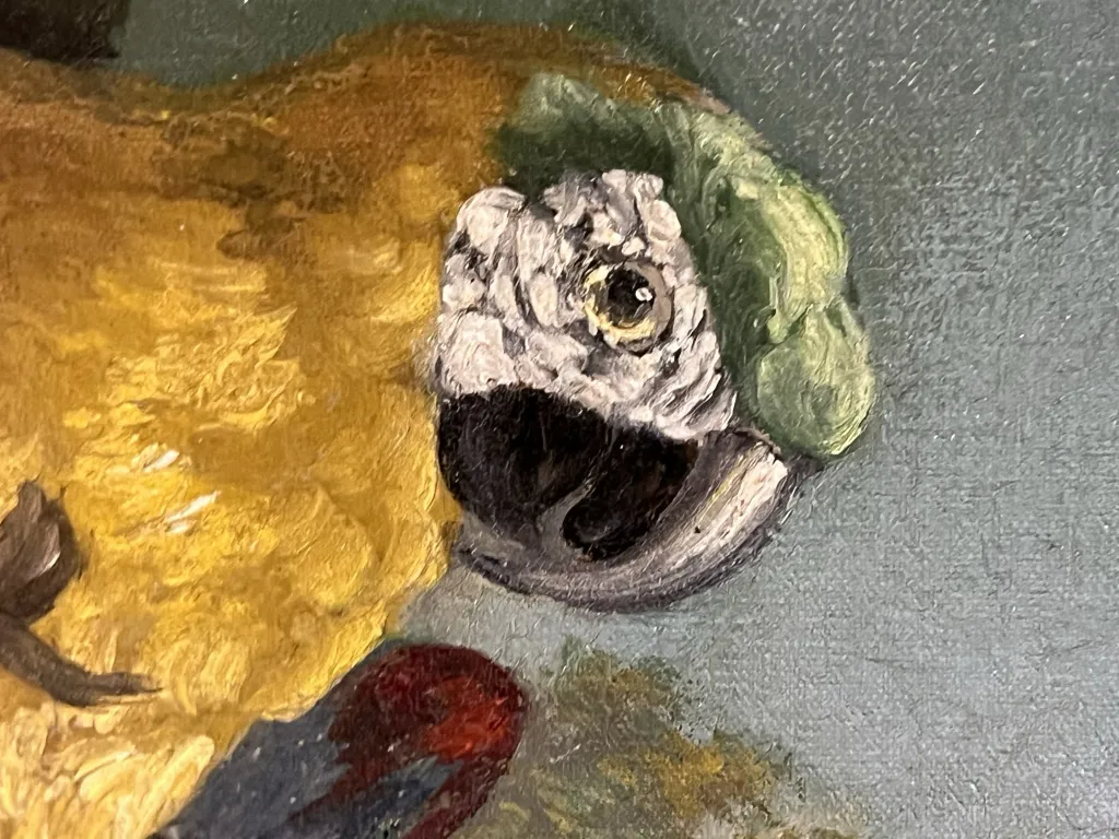 pintura antigua mostrando un hermoso pájaro colorido