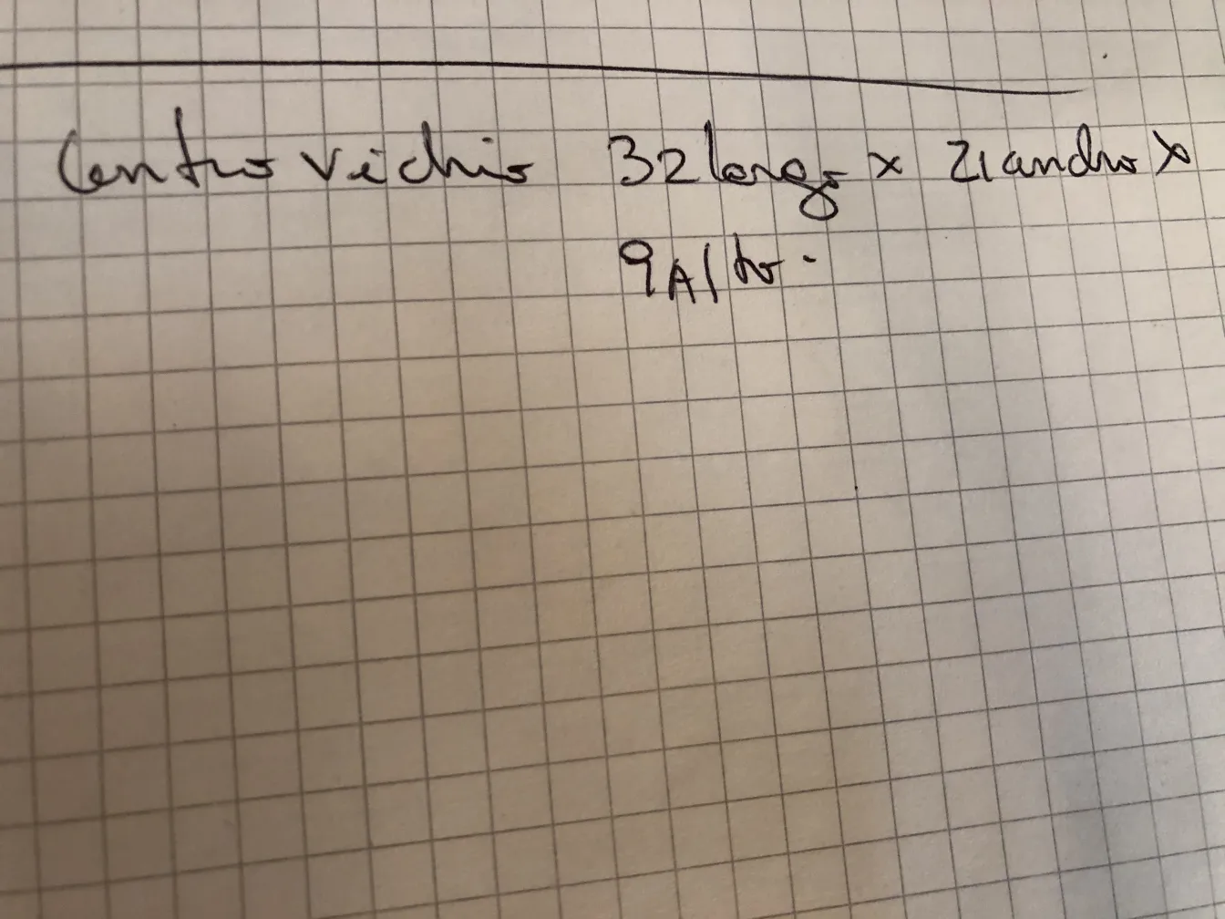 古董装饰中心，上面写有尺寸的方格纸