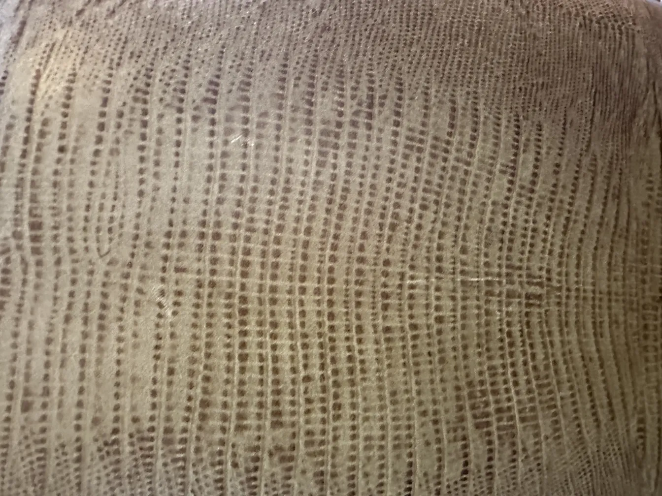 12 chaises anciennes au design distinctif dans un cadre simple