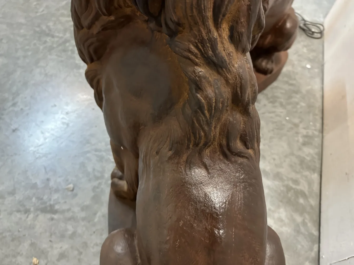 고대 사자 2마리의 모습, 갈기 세부정보