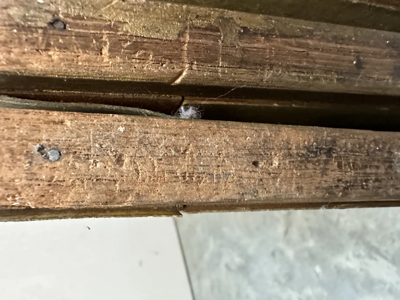 détail de paravents anciens d'adolphe chanaux dans un décor