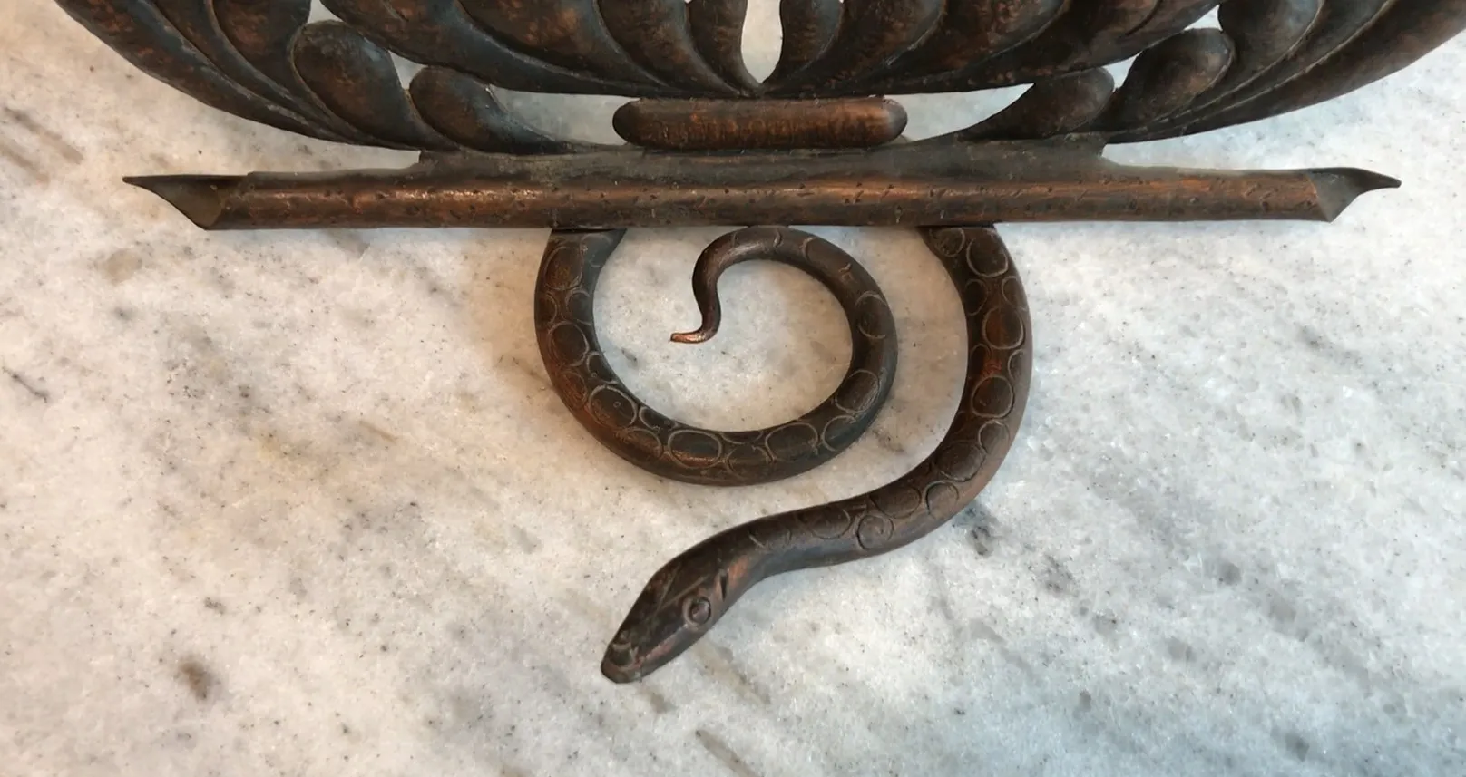 Cadre photo ancien en forme de serpent dans un environnement décoratif