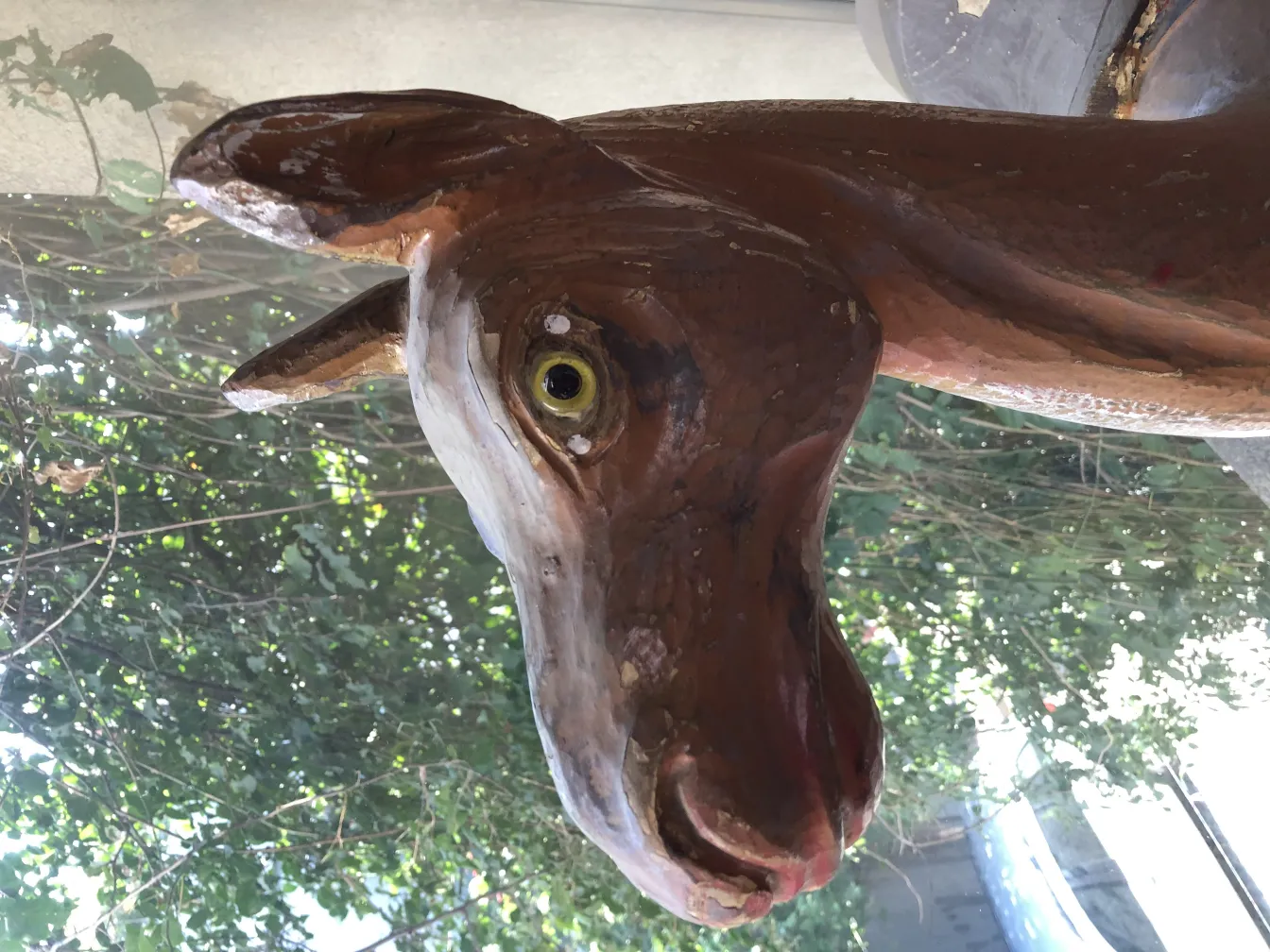 Antique llama head with artistic details