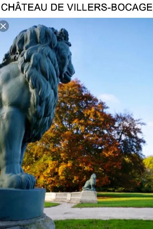 Scultura di due leoni in ambiente naturale, antichità