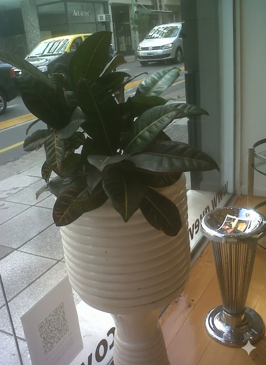 vaso de plantes ancien avec des plantes vertes dans un environnement moderne