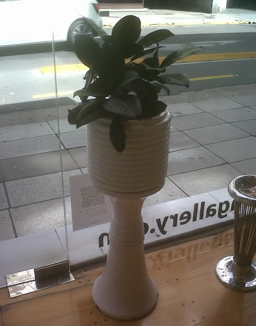 vaso de plantes ancien avec plante verte dans un cadre moderne