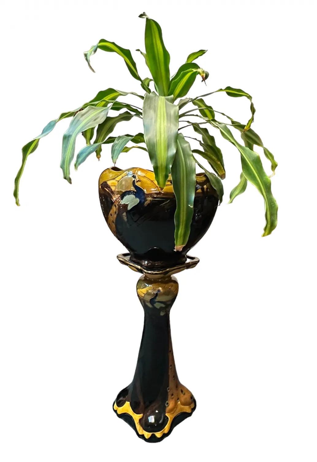 dekorativer antiker Keramik-Blumentopf mit grünen Blättern