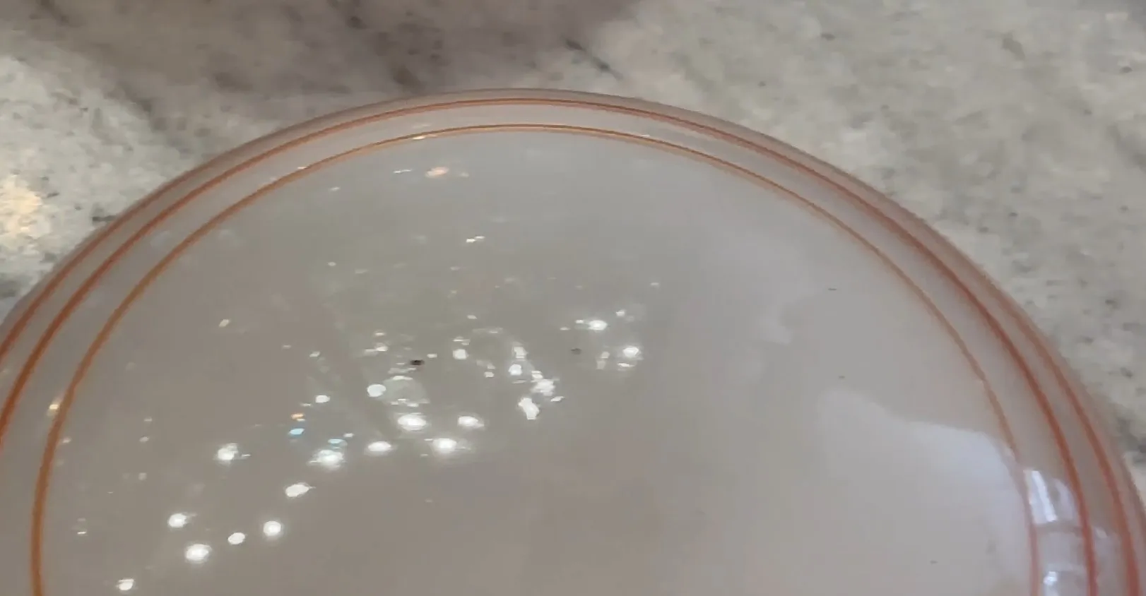 तीन प्राचीन छत की रोशनी, सुस्त और आकर्षक डिजाइन के साथ, एक आरामदायक वातावरण को रोशन करती है।