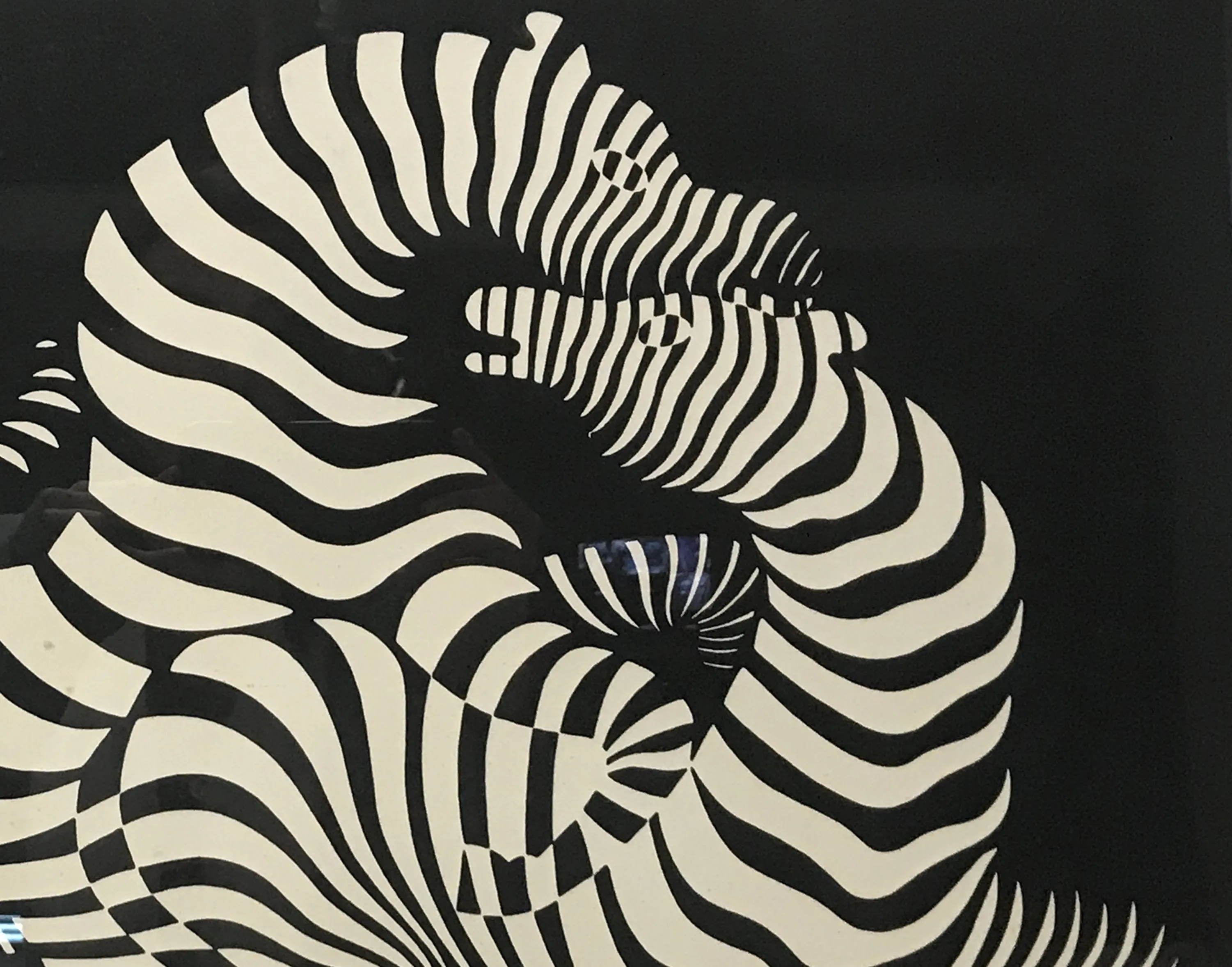 illustration abstraite en noir et blanc, forme ondulée