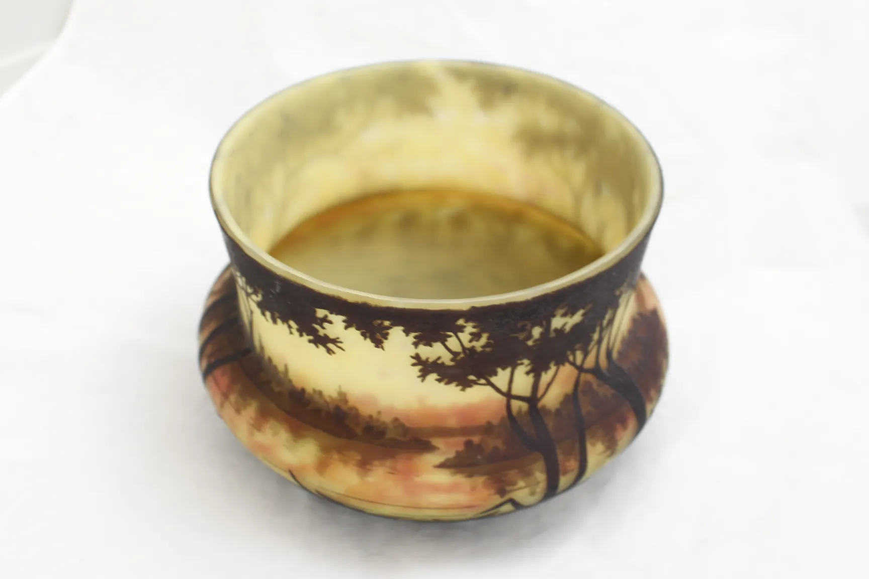 Ancien verre signé par Daum Nancy avec un paysage décoratif de la nature.